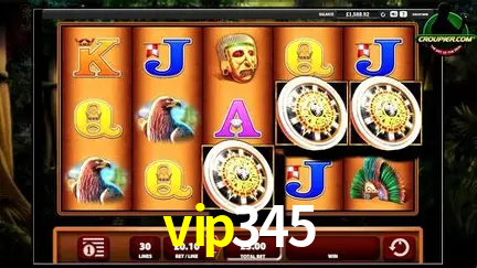Descubra o Mundo do Cassino Online com vip345